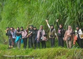 konservasi pohon langka