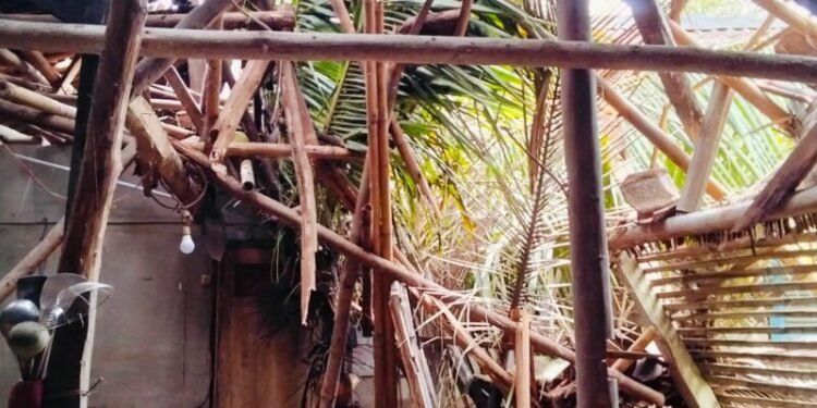 rumah tertimpa pohon