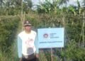 Kebun percontohan milik SPPG Ekosistem Yayasan Sukaratu 6, Kecamatan Majasari, Kabupaten Pandeglang, yang menyuplai bahan sayuran menu MBG, Kamis (5/2). (Dok SPPG Sukaratu)