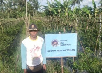 Kebun percontohan milik SPPG Ekosistem Yayasan Sukaratu 6, Kecamatan Majasari, Kabupaten Pandeglang, yang menyuplai bahan sayuran menu MBG, Kamis (5/2). (Dok SPPG Sukaratu)