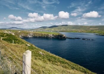 Beasiswa Pemerintah Irlandia 2026 resmi dibuka. (Freepik.com/ wirestock)