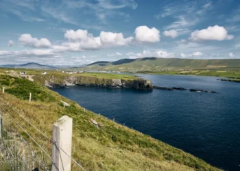 Beasiswa Pemerintah Irlandia 2026 Resmi Dibuka, Peluang Kuliah S2–S3 Gratis di Eropa 6 Beasiswa Pemerintah Irlandia 2026 resmi dibuka. (Freepik.com/ wirestock)