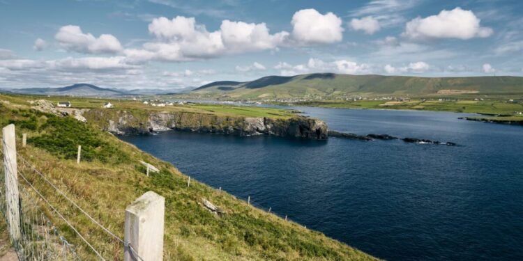 Beasiswa Pemerintah Irlandia 2026 resmi dibuka. (Freepik.com/ wirestock)