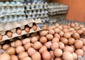 Ilustrasi harga telur ayam di Pasar Kranggota Kota Cilegon, (Tia/Bantenraya.com)