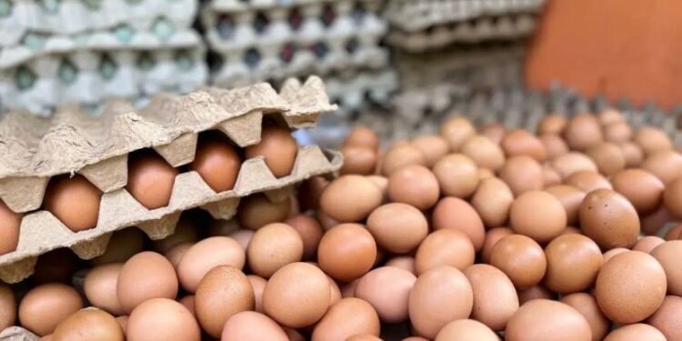 Ilustrasi harga telur ayam di Pasar Kranggota Kota Cilegon, (Tia/Bantenraya.com)