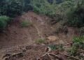 Bukit tebing setinggi 12 meter di Jalan Tanjung Lesung-Sumur, perbatasan Kecamatan Panimbang, dan Kecamatan Sumur, Kabupaten Pandeglang, longsor, Selasa, 24 Februari 2026. (Kiriman Warga)