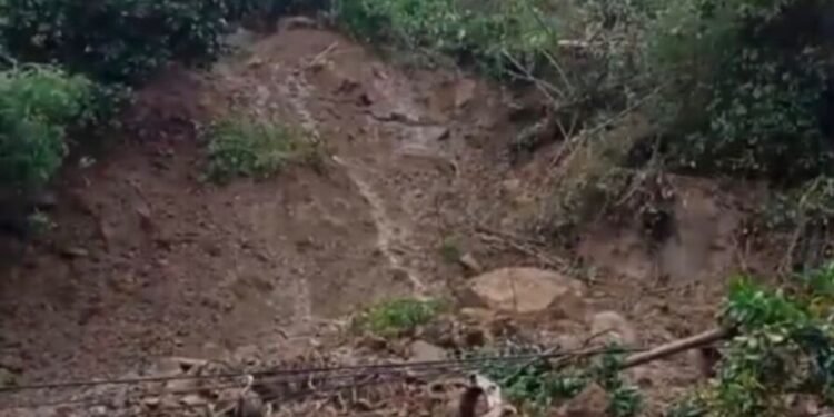 Bukit tebing setinggi 12 meter di Jalan Tanjung Lesung-Sumur, perbatasan Kecamatan Panimbang, dan Kecamatan Sumur, Kabupaten Pandeglang, longsor, Selasa, 24 Februari 2026. (Kiriman Warga)