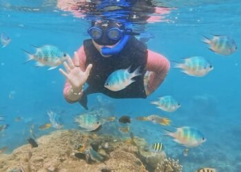 Pengunjung Pulau Merak Kecil saat melakukan aktivitas snorkeling melihat aneka biota laut yang masih asri dan indah dengan gelombang laut yang tenang. (Dok/Pulau Merak Kecil)