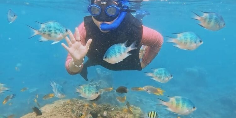 Pulau Merak Kecil Fokus Benahi Fasilitas Snorkeling Jelang Libur Lebaran 1 Pengunjung Pulau Merak Kecil saat melakukan aktivitas snorkeling melihat aneka biota laut yang masih asri dan indah dengan gelombang laut yang tenang. (Dok/Pulau Merak Kecil)
