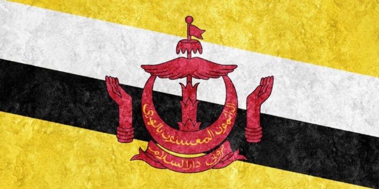 Ilustrasi beasiswa dari Brunei Darussalam. (Freepik.com/ Allexxandar)