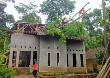 Petugas kebencanaan mengevakuasi pohon petai tumbang menimpa rumah warga Kampung Kadukaung, Desa Tapos, Kecamatan Cadasari, Kabupaten Pandeglang, Kamis 26 Februari 2026. (Dokumentasi Bantenraya.com)