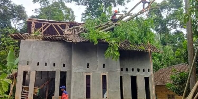 Petugas kebencanaan mengevakuasi pohon petai tumbang menimpa rumah warga Kampung Kadukaung, Desa Tapos, Kecamatan Cadasari, Kabupaten Pandeglang, Kamis 26 Februari 2026. (Dokumentasi Bantenraya.com)