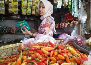 Busyet Cabai Rawit Merah di Kota Serang Tembus Rp 100.000 Per Kilogram Jelang Puasa 9 Menjelang Ramadan, harga cabai rawit merah di Pasar Induk Rau Kota Serang tembus Rp 100.000 per kilogram, Selasa 17 Februari 2026. (Harir Baldan/Bantenraya.com)