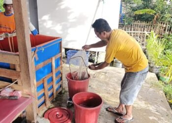 BUMDes Cipta Karya Terate