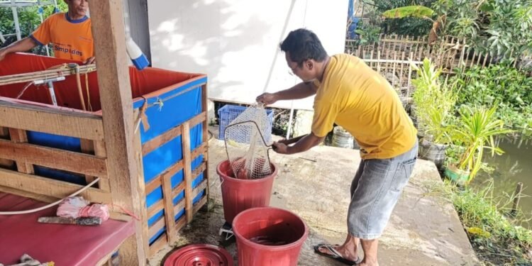 BUMDes Cipta Karya Terate