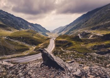 Cara Daftar Beasiswa S2 di Transilvania University Rumania, Simak Syarat dan Jadwalnya 7 Ilustrasi beasiswa di Rumania dari Transilvania University of Brașov. (Pexels.com/ Radu Andrei Razvan)