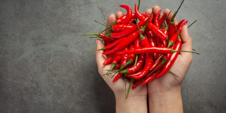 Ilustrasi cabai merah. (Freepik.com/ jcomp)
